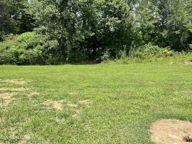 1517 County Road 250, Niota, TN 37826 - photo 48