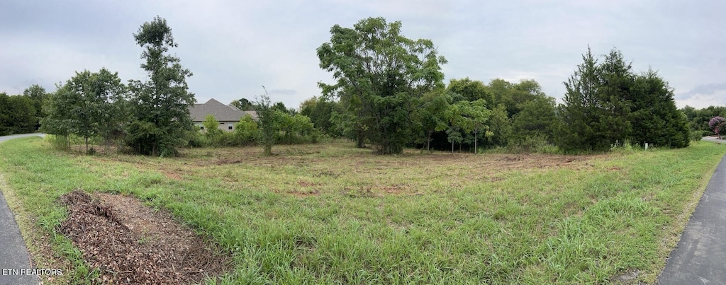 135 Itawa Trl, Vonore, TN 37885 - photo 2