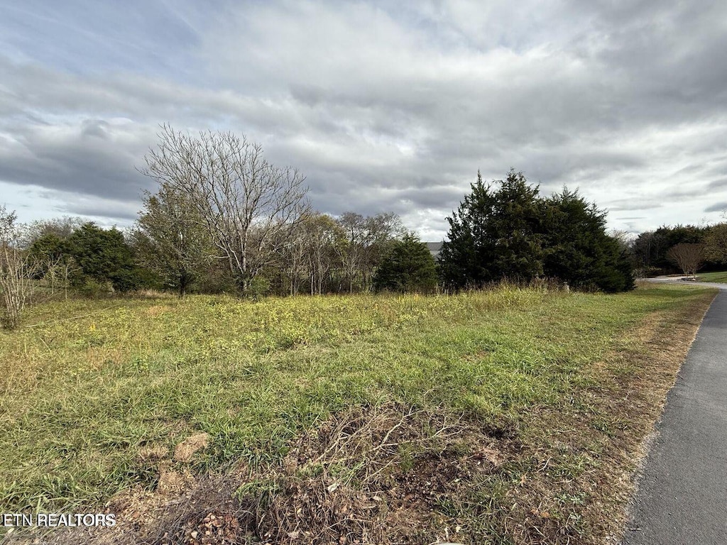 135 Itawa Trl, Vonore, TN 37885 - photo 3