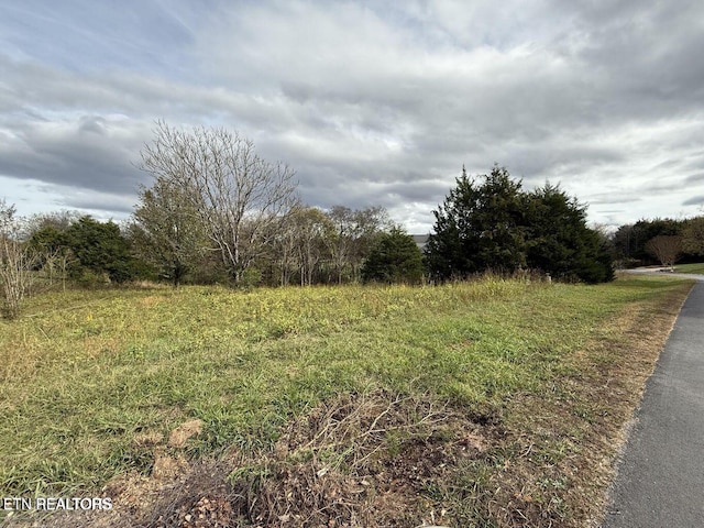 135 Itawa Trl, Vonore, TN 37885 - photo 3