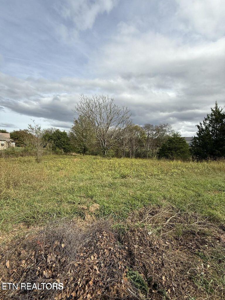 135 Itawa Trl, Vonore, TN 37885 - photo 4