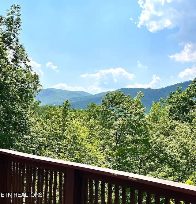 1013 Street Of Dreams, Gatlinburg, TN 37738 - photo 26