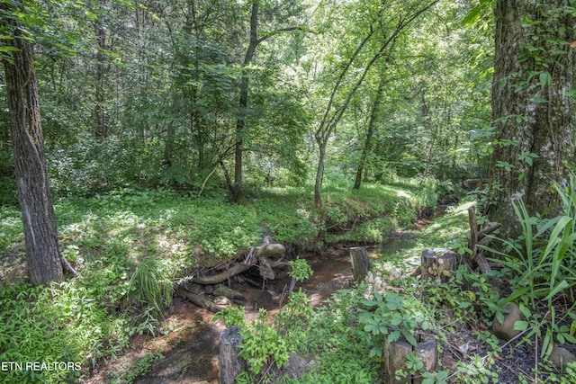 7300 Brook Run Way, Knoxville, TN 37920 - photo 39
