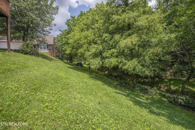 7300 Brook Run Way, Knoxville, TN 37920 - photo 40