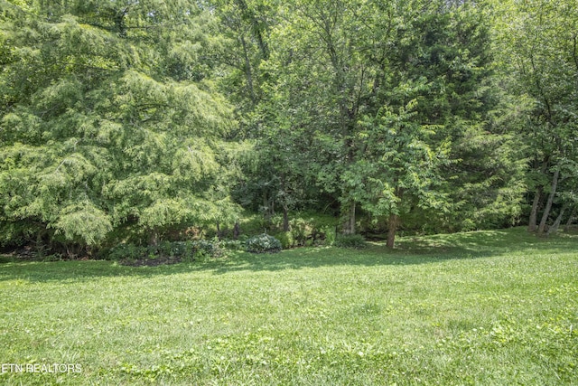7300 Brook Run Way, Knoxville, TN 37920 - photo 41