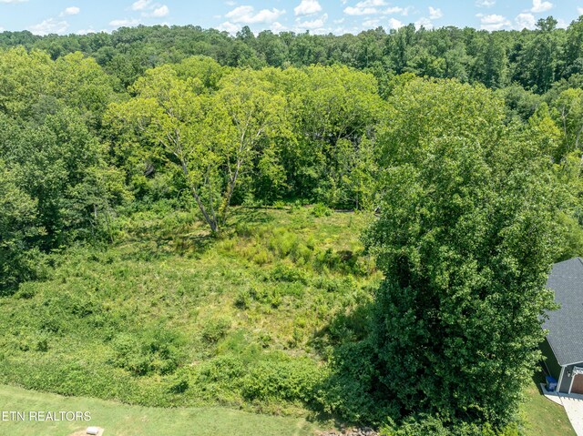 2916 Split Oak Dr, Knoxville, TN 37920 - photo 3