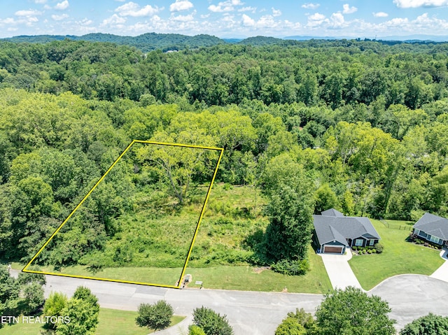 2916 Split Oak Dr, Knoxville, TN 37920 - photo 1