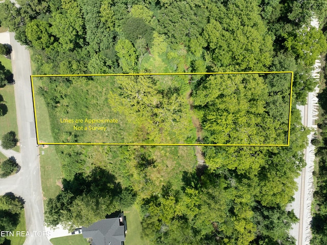 2916 Split Oak Dr, Knoxville, TN 37920 - photo 2