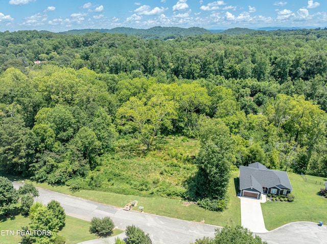 2916 Split Oak Dr, Knoxville, TN 37920 - photo 7