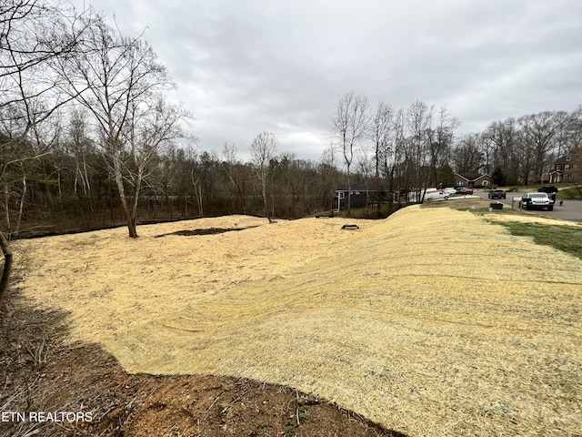 2916 Split Oak Dr, Knoxville, TN 37920 - photo 13