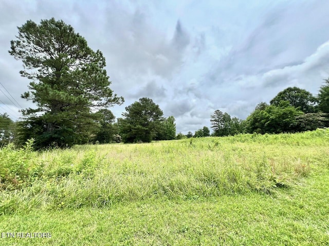 Fairview Rd, Athens, TN 37303 - photo 5