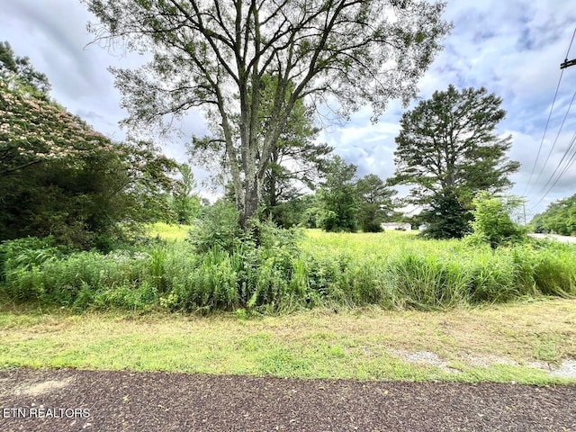 Fairview Rd, Athens, TN 37303 - photo 8