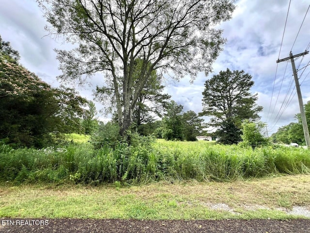 Fairview Rd, Athens, TN 37303 - photo 9