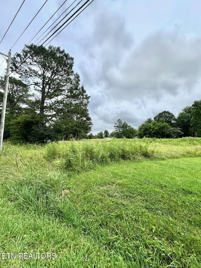 Fairview Rd, Athens, TN 37303 - photo 17