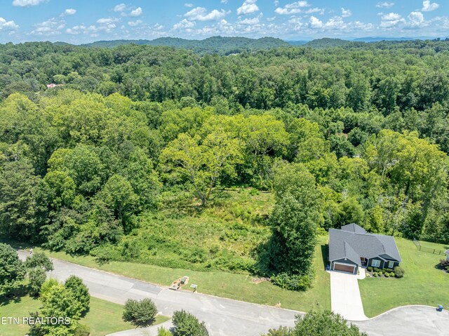 2920 Split Oak Dr, Knoxville, TN 37920 - photo 6
