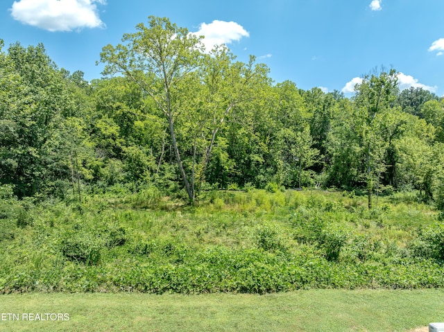 2920 Split Oak Dr, Knoxville, TN 37920 - photo 7