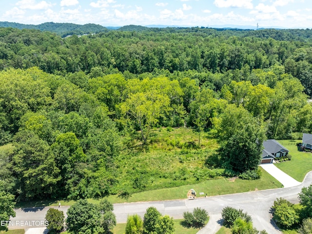 2920 Split Oak Dr, Knoxville, TN 37920 - photo 8