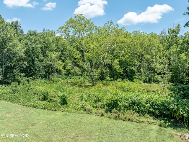 2920 Split Oak Dr, Knoxville, TN 37920 - photo 5
