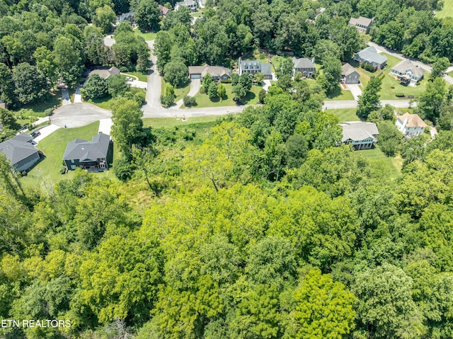 2920 Split Oak Dr, Knoxville, TN 37920 - photo 9