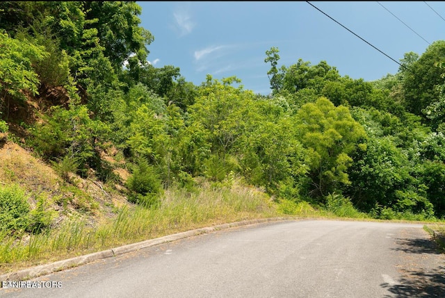 LOT2 Penelope Ln, Sevierville, TN 37862 - photo 6