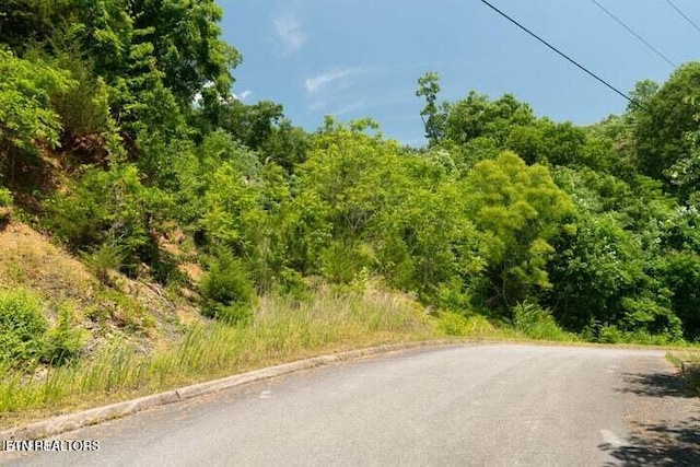 LOT2 Penelope Ln, Sevierville, TN 37862 - photo 16