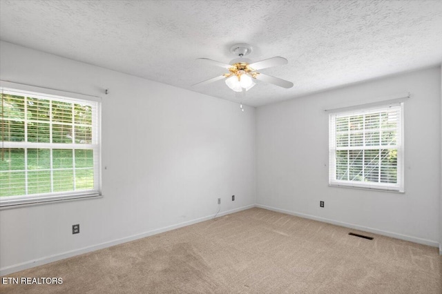 276 Cherokee Trl, Seymour, TN 37865 - photo 15