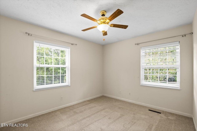 276 Cherokee Trl, Seymour, TN 37865 - photo 22
