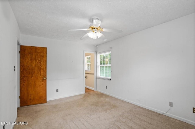276 Cherokee Trl, Seymour, TN 37865 - photo 14
