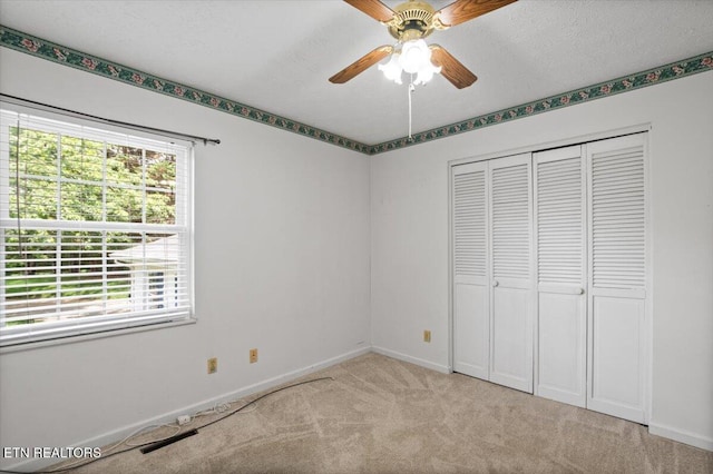 276 Cherokee Trl, Seymour, TN 37865 - photo 20