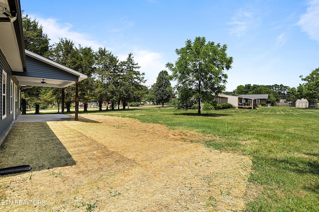 7245 Deville Way, Powell, TN 37849 - view of green lawn with ceiling fan