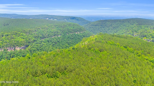 00000 Worley Rd, Soddy-Daisy, TN 37379 - photo 2