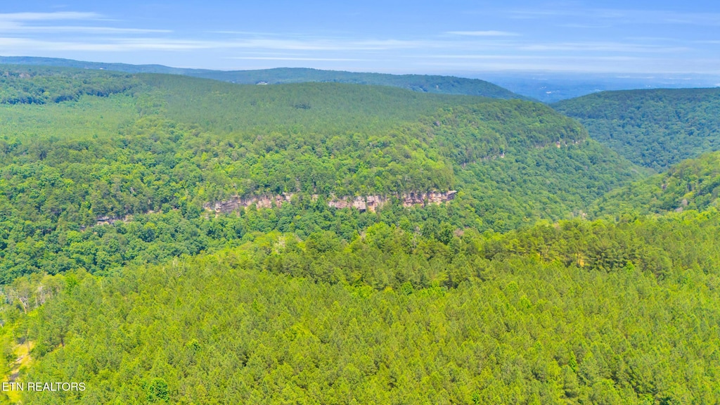 00000 Worley Rd, Soddy-Daisy, TN 37379 - photo 4