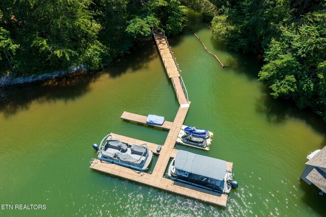 30 Pineberry Ct, Vonore, TN 37885 - photo 4