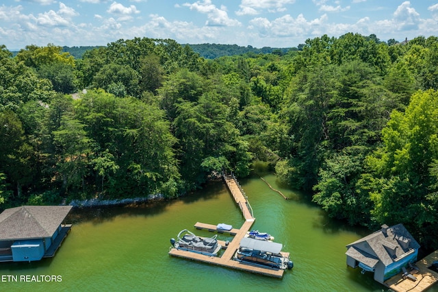 30 Pineberry Ct, Vonore, TN 37885 - photo 5