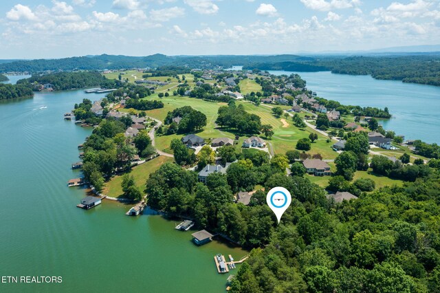 30 Pineberry Ct, Vonore, TN 37885 - photo 6