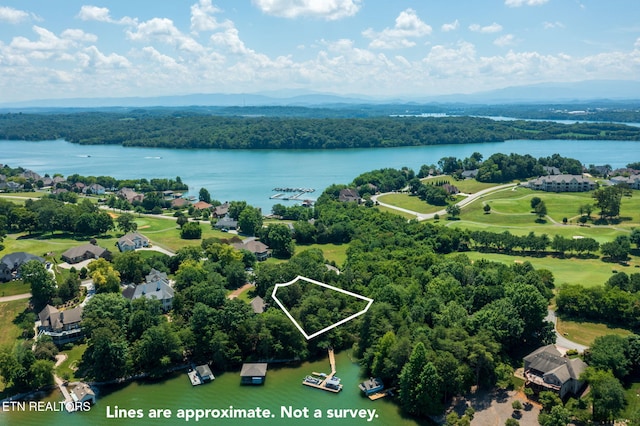 30 Pineberry Ct, Vonore, TN 37885 - photo 8