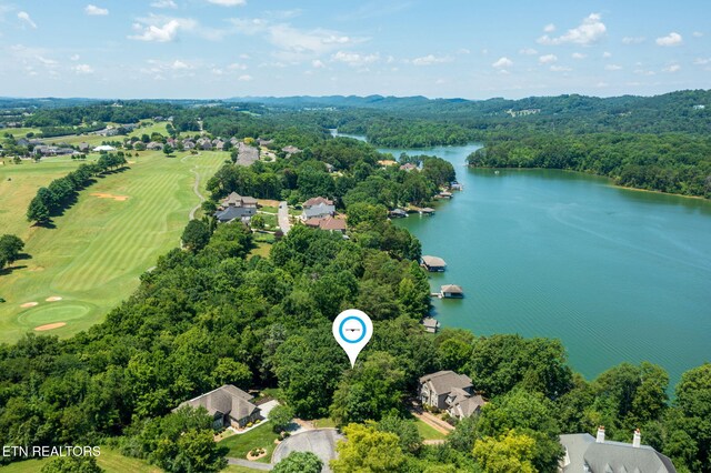 30 Pineberry Ct, Vonore, TN 37885 - photo 10
