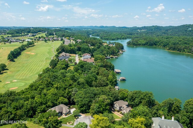 30 Pineberry Ct, Vonore, TN 37885 - photo 11