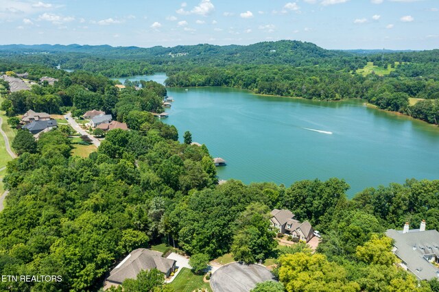 30 Pineberry Ct, Vonore, TN 37885 - photo 12