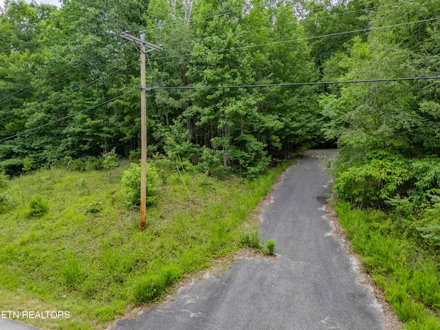 Crystal Springs Rd, Rockwood, TN 37854 - photo 10