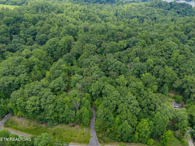 Crystal Springs Rd, Rockwood, TN 37854 - photo 8