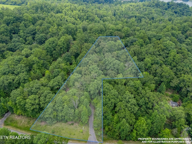 Crystal Springs Rd, Rockwood, TN 37854 - photo 2