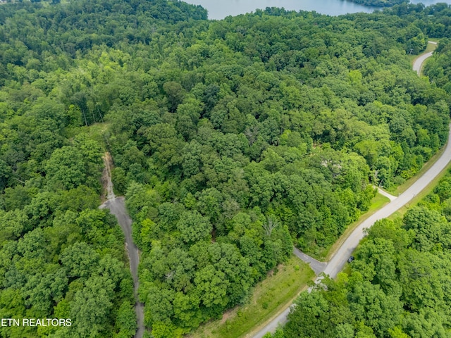 Crystal Springs Rd, Rockwood, TN 37854 - photo 1