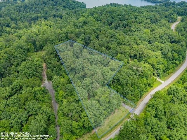 Crystal Springs Rd, Rockwood, TN 37854 - photo 3