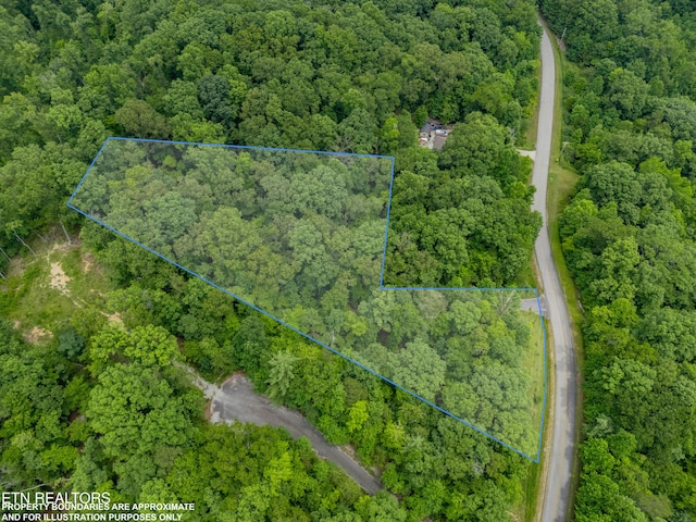 Crystal Springs Rd, Rockwood, TN 37854 - photo 12