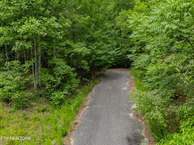 Crystal Springs Rd, Rockwood, TN 37854 - photo 13