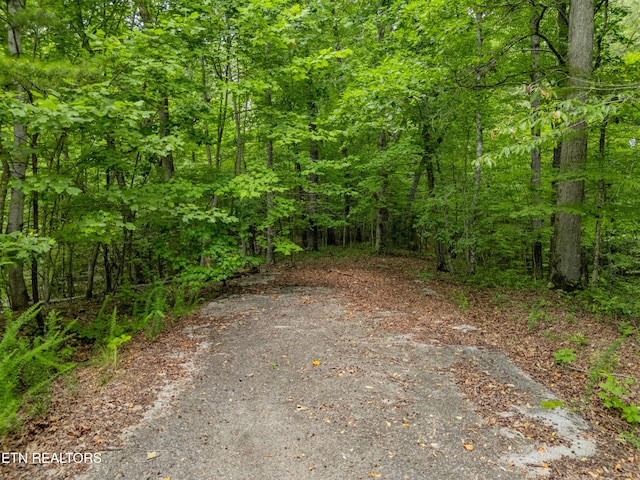 Crystal Springs Rd, Rockwood, TN 37854 - photo 14