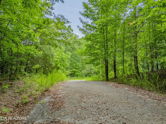 Crystal Springs Rd, Rockwood, TN 37854 - photo 15