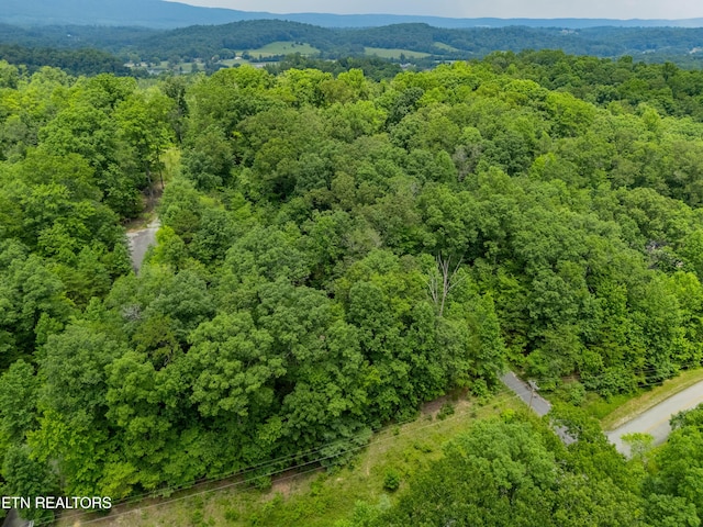 Crystal Springs Rd, Rockwood, TN 37854 - photo 4