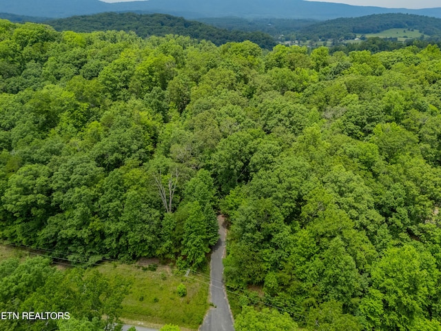 Crystal Springs Rd, Rockwood, TN 37854 - photo 16